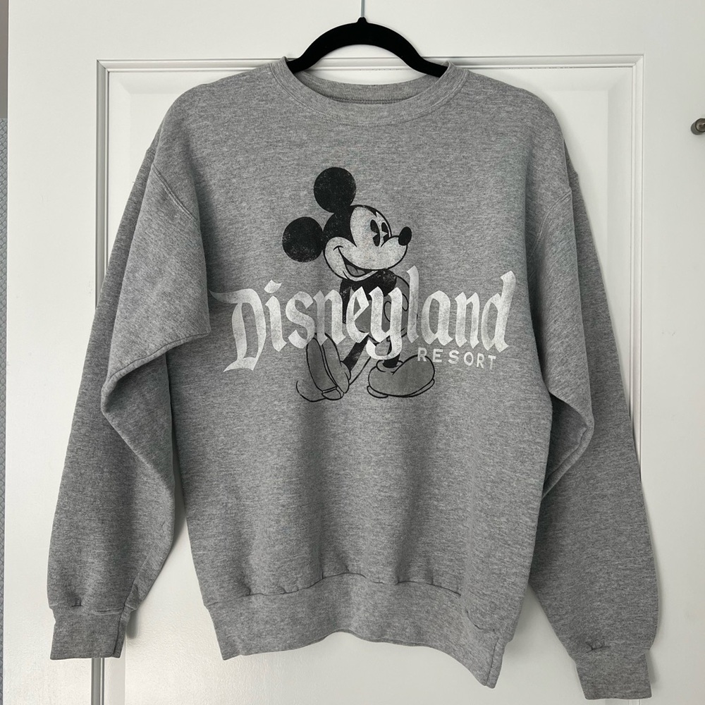 Adult Gray Disneyland Sweatshirt, Size S